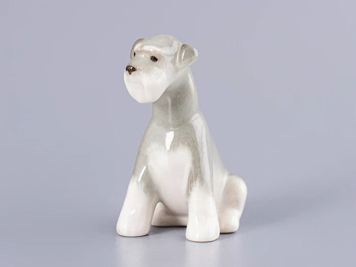 Minyatür Schnauzer yavrusu Molly