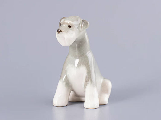 Minyatür Schnauzer yavrusu Molly