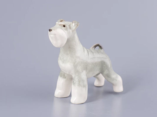 Minyatür Schnauzer Papatya