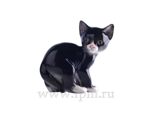 Siyah Kedi Heykeli